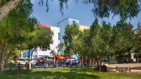 دانشگاه مدیترانه شرقی — تصویر 6